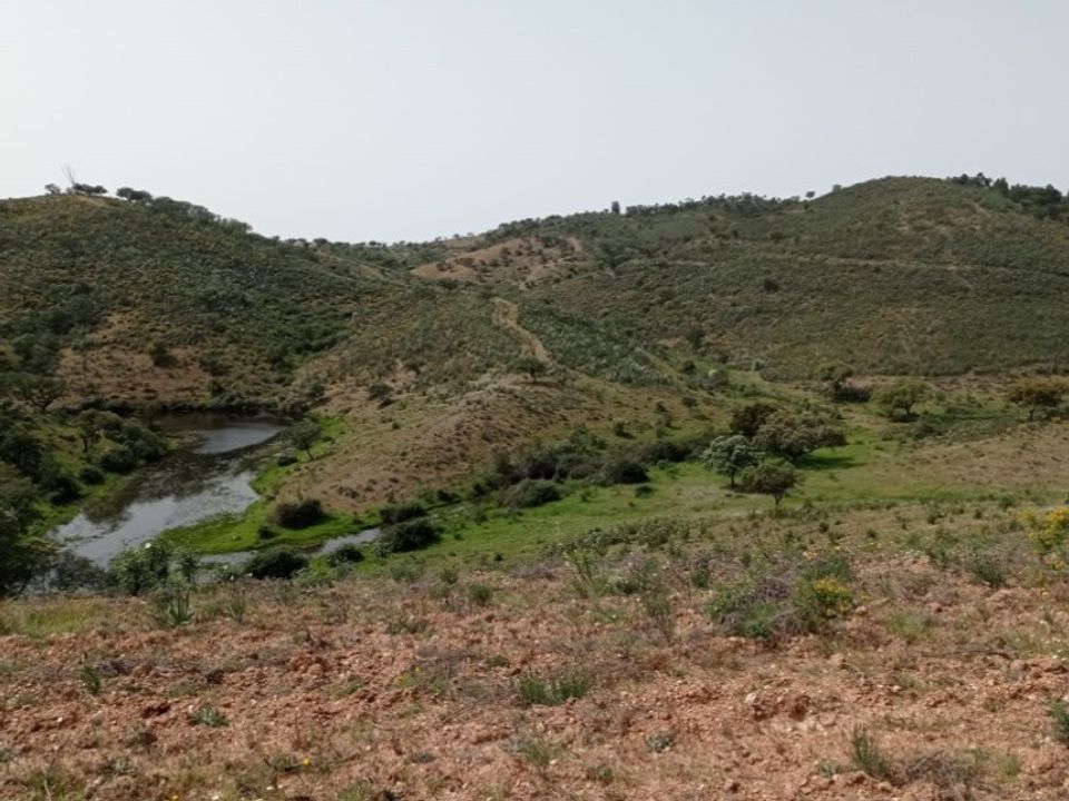 Casa de campo en Portel, Evora - foto 3