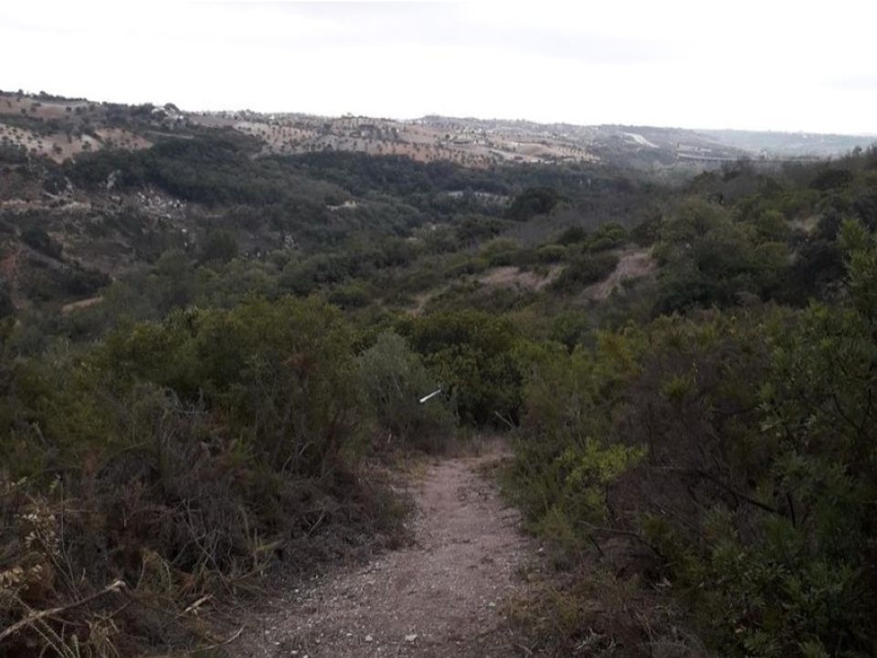 Helårsgrund i Santarem, Santarem - foto 5