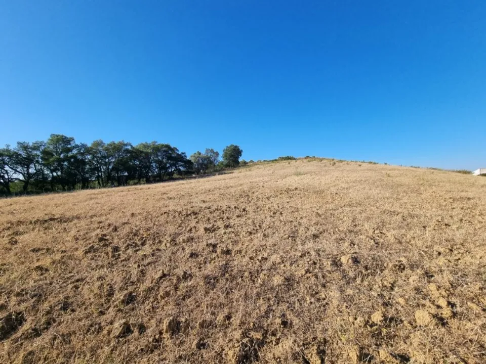 Granja a Santarem, Santarem - foto 3