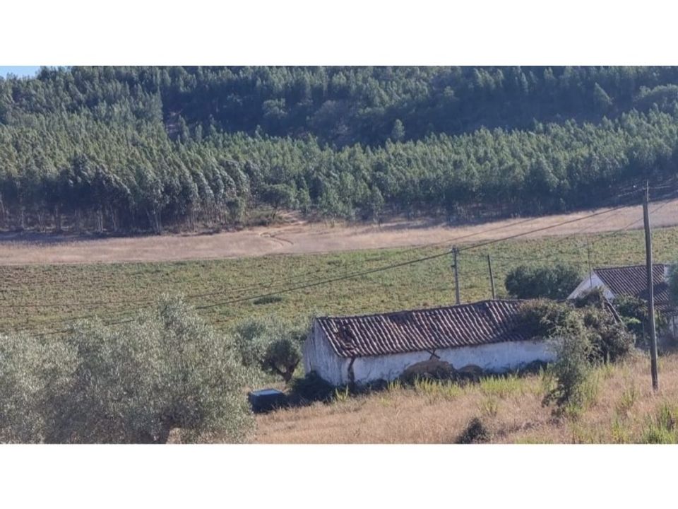 Granja a Santarem, Santarem - foto 5