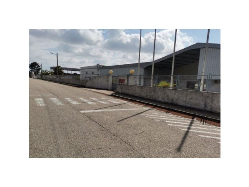 Erhvervsejendom i Muge, Santarem - foto 4
