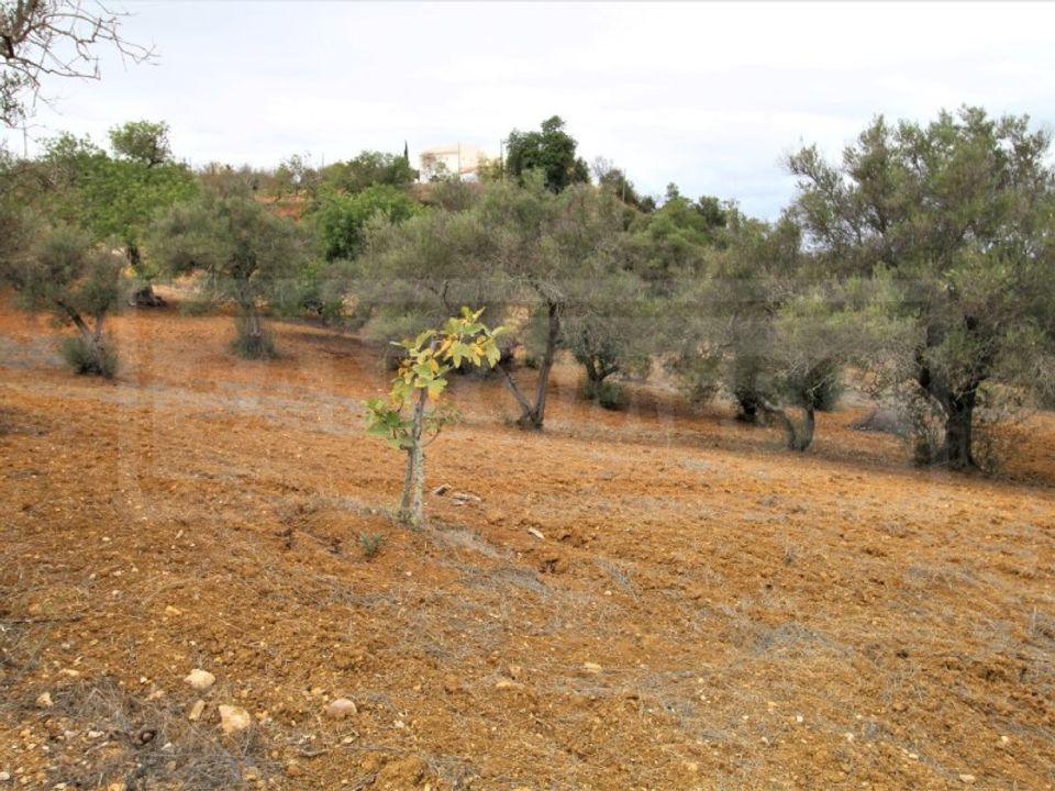 Helårsgrund i Algoz, Faro - foto 2