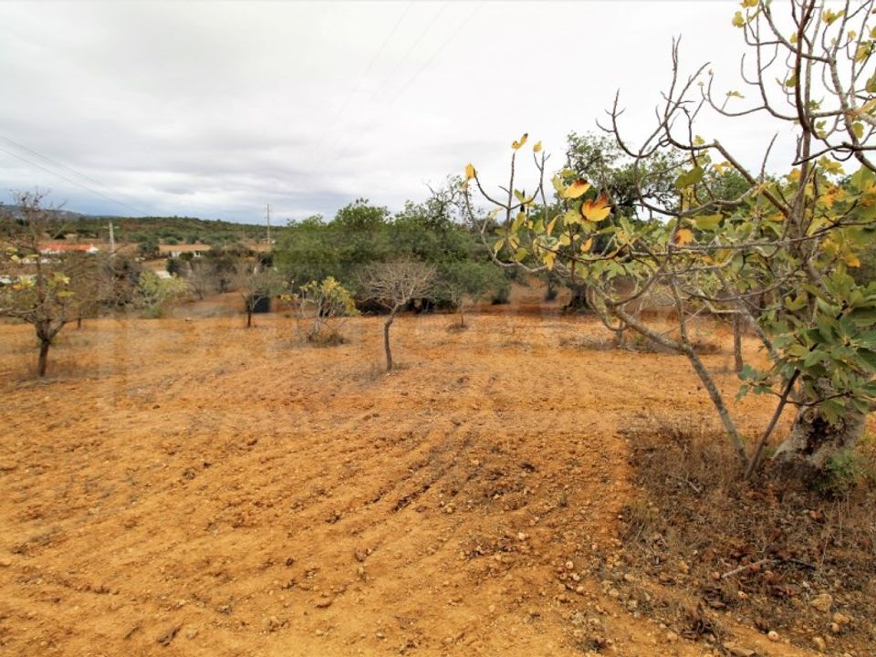 Helårsgrund i Algoz, Faro - foto 4