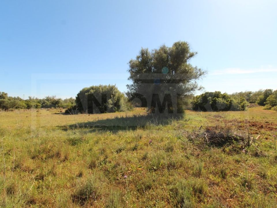 Helårsgrund i Sao Bartolomeu de Messines, Faro - foto 5