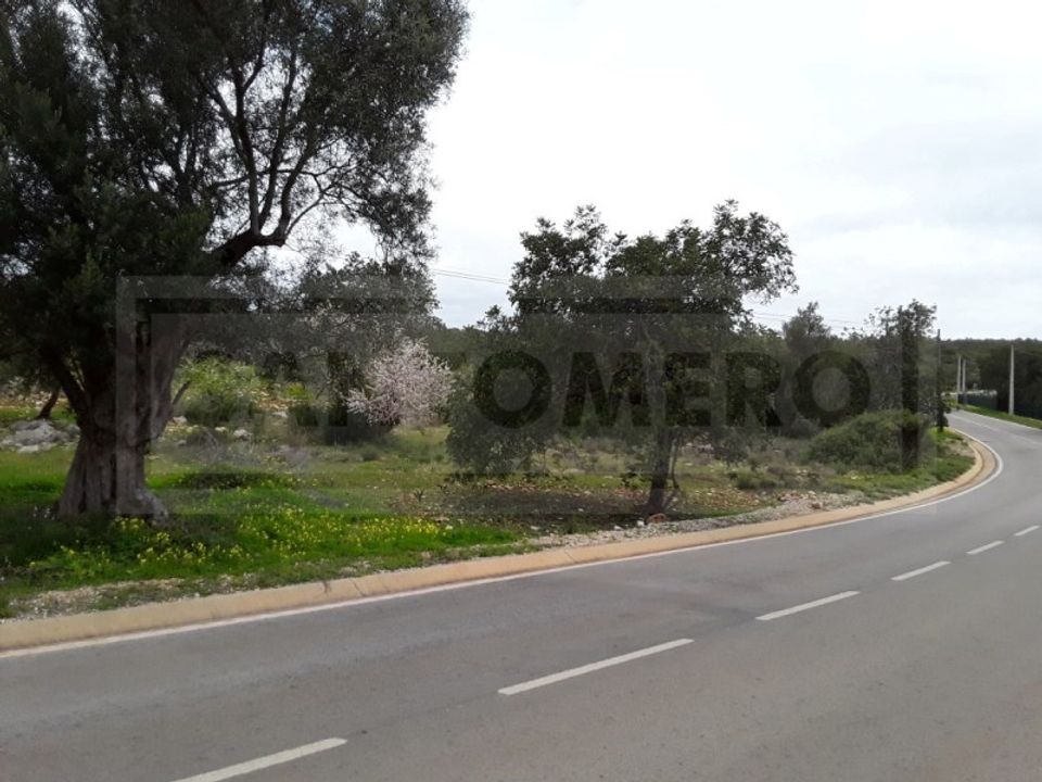Tomt i Alte, Faro - foto 3