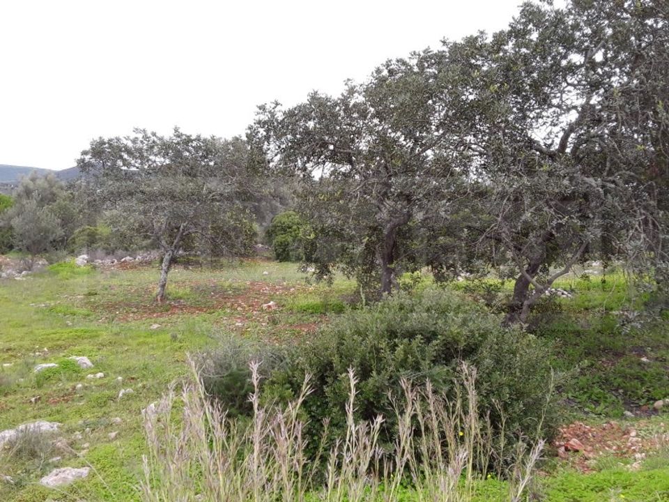 Tomt i Alte, Faro - foto 5