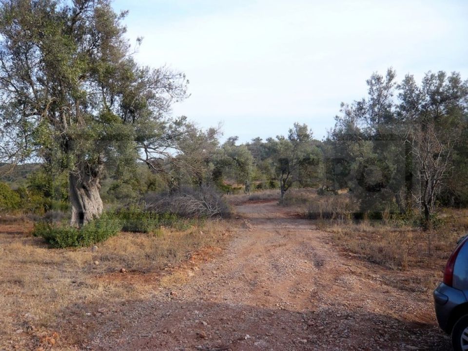 Grond in Boliqueime, Faro - foto 4