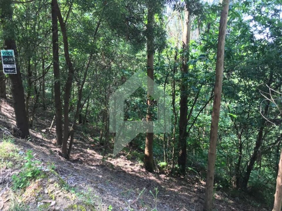 Terreno en Barcelos, Braga - foto 2
