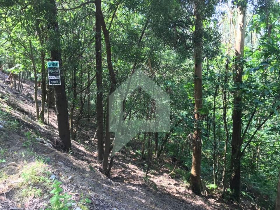 Terreno en Barcelos, Braga - foto 3