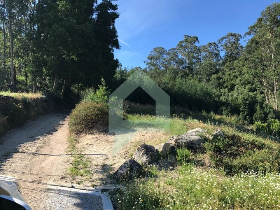 Terra a Guimaraes, Braga - foto 1