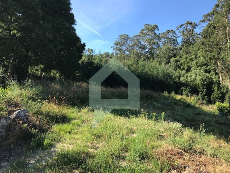 Terra a Guimaraes, Braga - foto 2