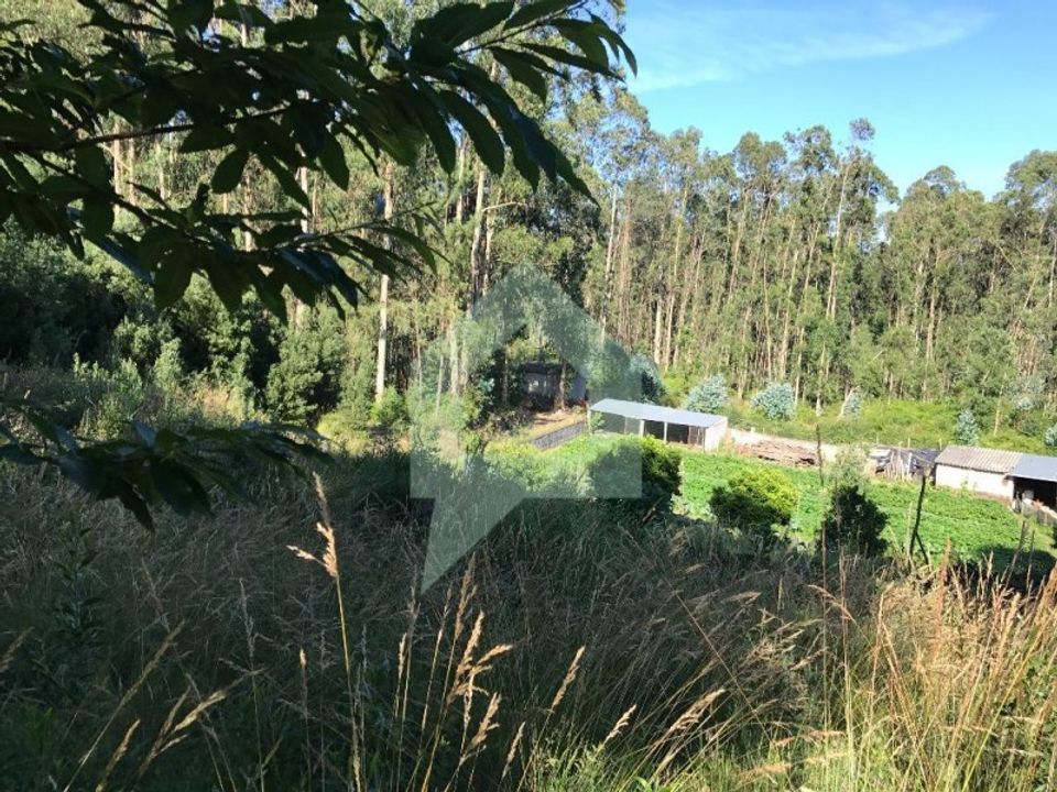 Terra a Guimaraes, Braga - foto 4