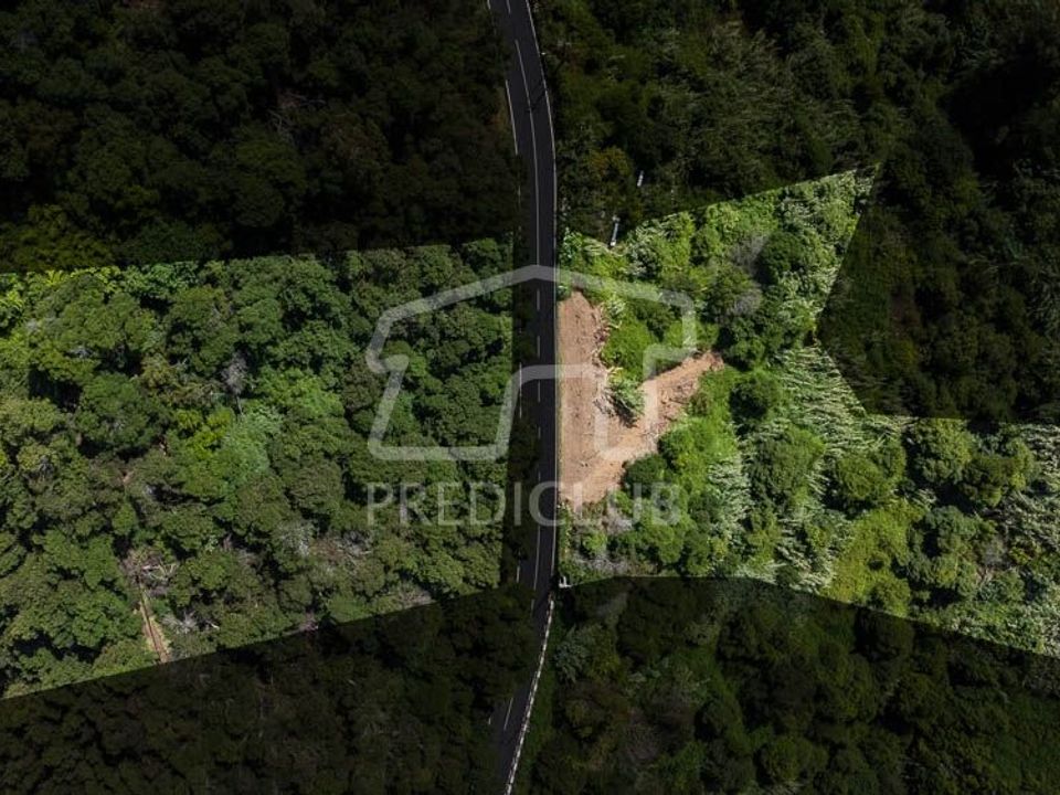 Terra em Machico, Madeira - foto 2