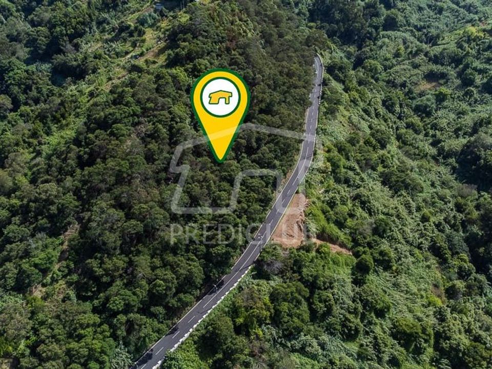 Terra em Machico, Madeira - foto 3