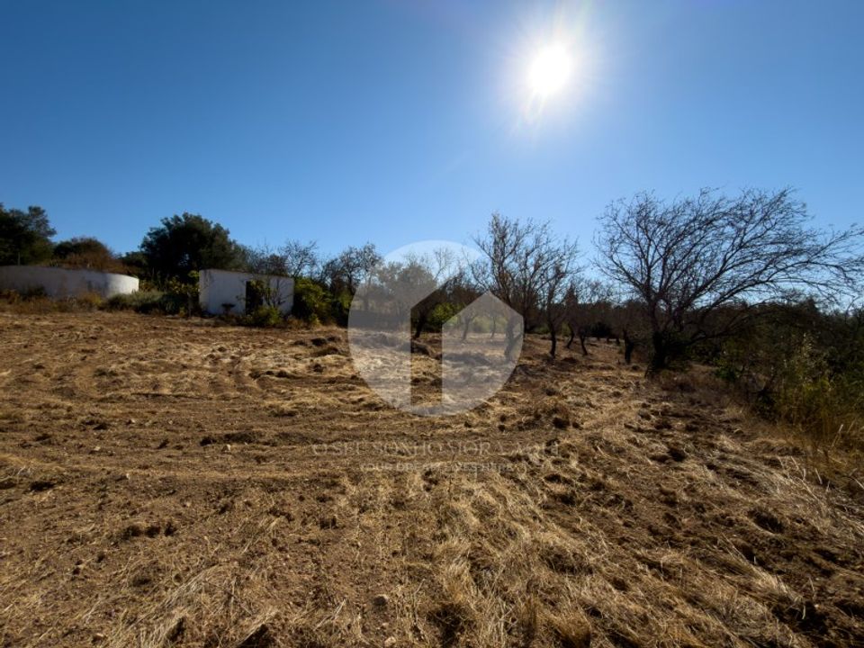 Terra a Estoi, Faro - foto 5