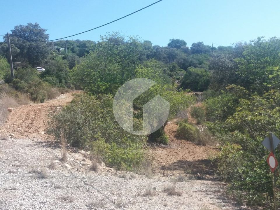 Terra em Conceicao e Estoi, Faro - foto 2