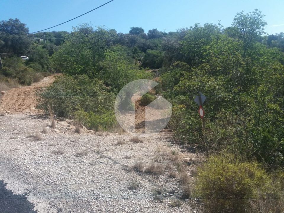 Terra em Conceicao e Estoi, Faro - foto 4