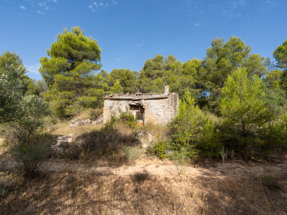 Finca em Caseres, Tarragona - foto 4