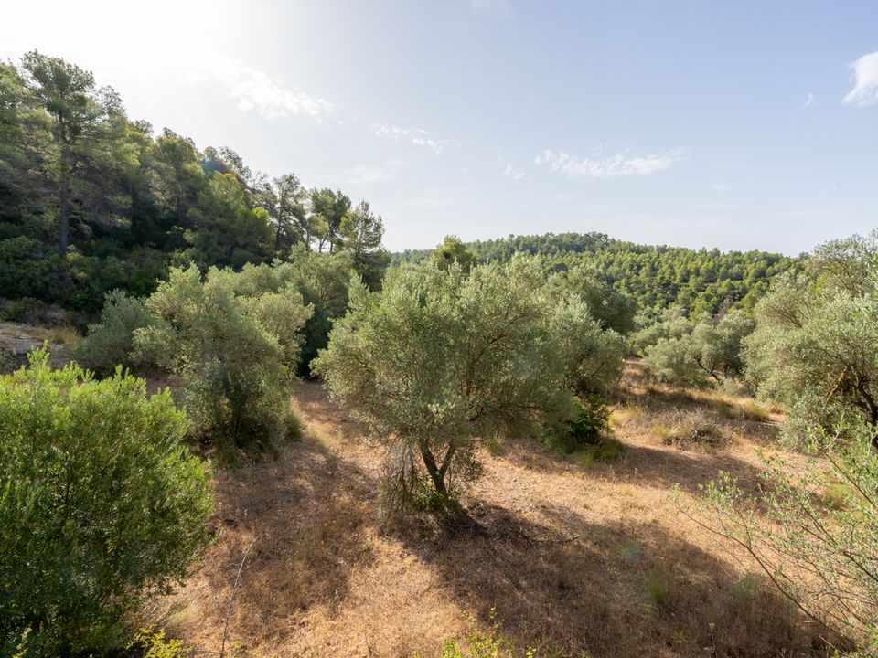 Finca em Caseres, Tarragona - foto 5