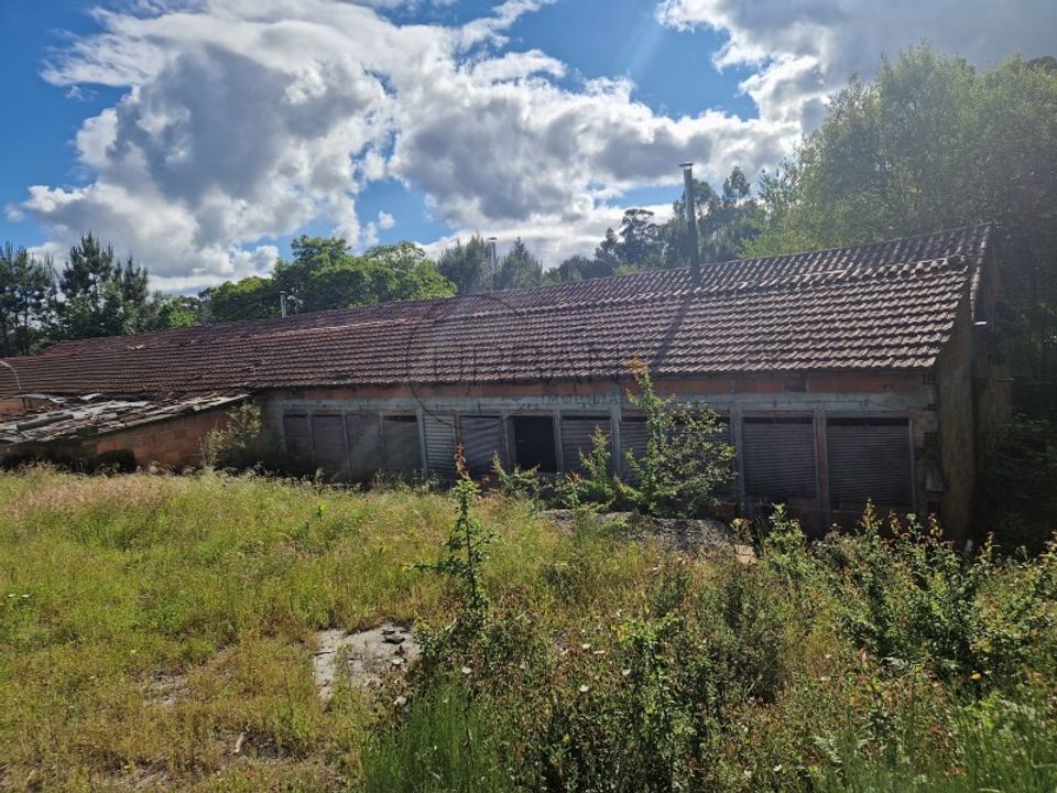 Erhvervsejendom i Viseu, Viseu - foto 3