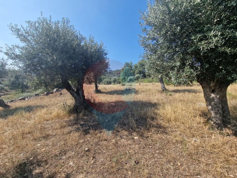 Landhuis in Ribeira de Nisa e Carreiras, Portalegre - foto 4