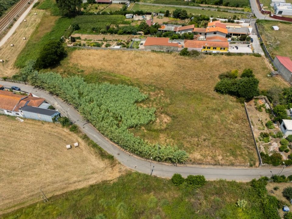 Działka: Silvalde, Aveiro – zdjęcie 5