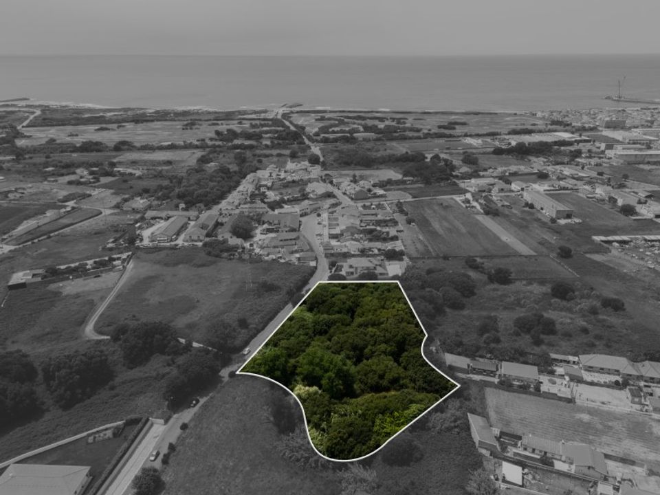 Terrain - Silvalde, Aveiro - photo 2