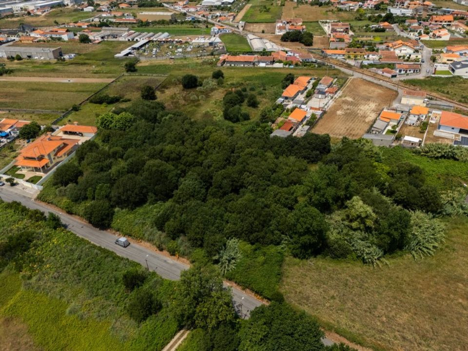 Terrain - Silvalde, Aveiro - photo 3