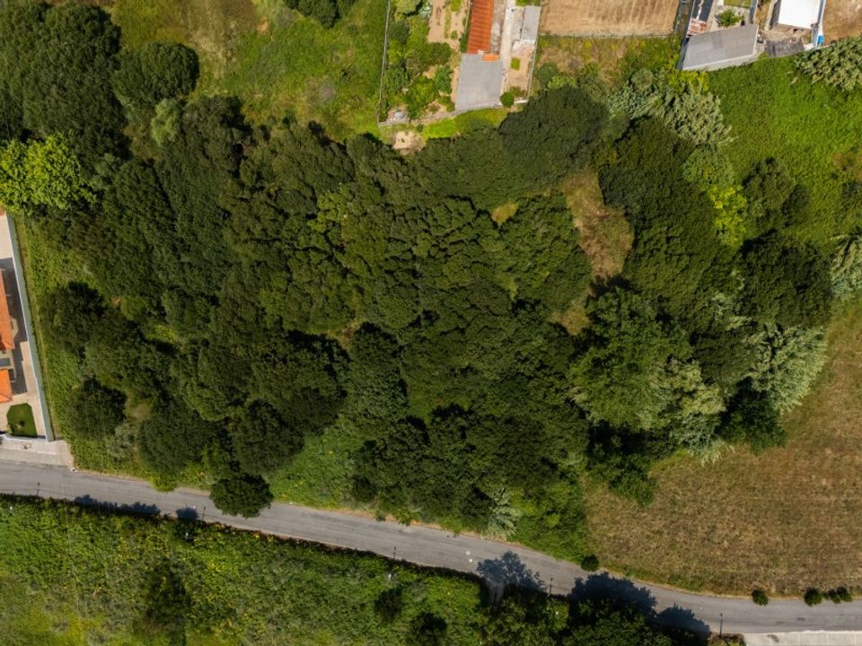 Terrain - Silvalde, Aveiro - photo 4