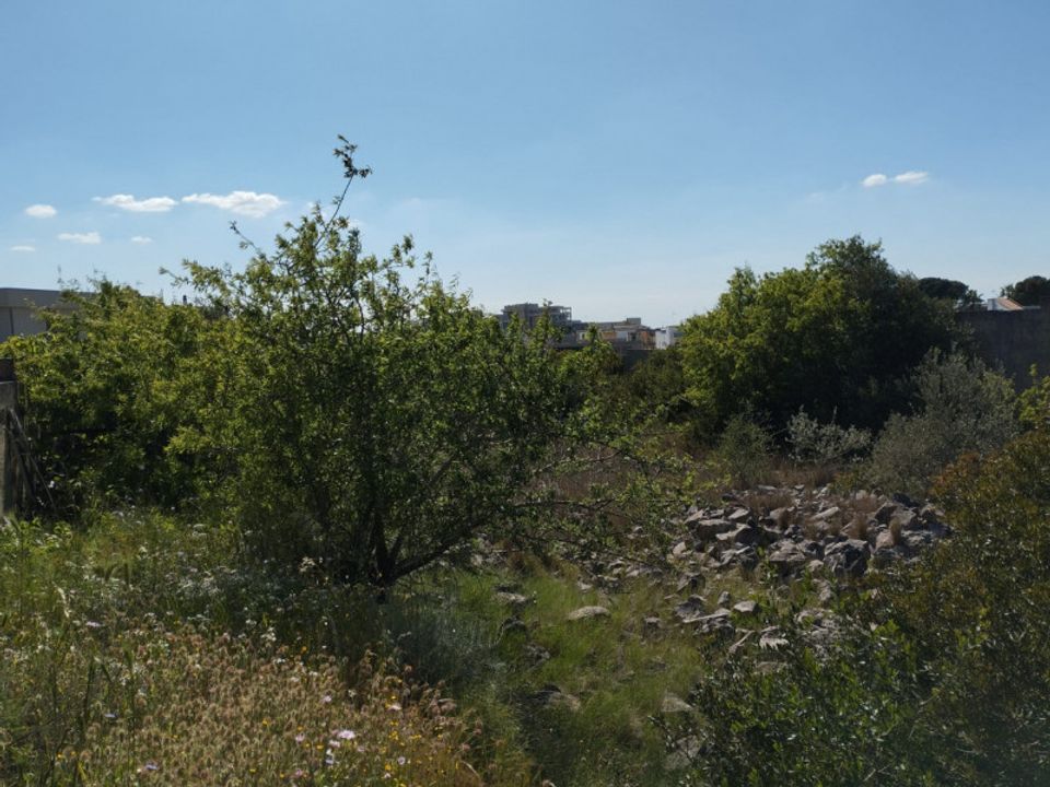 Terra a Casarano, Lecce - foto 5
