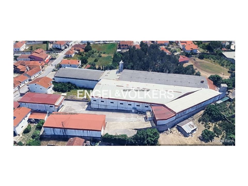 Erhvervsejendom i Juncal, Leiria - foto 1