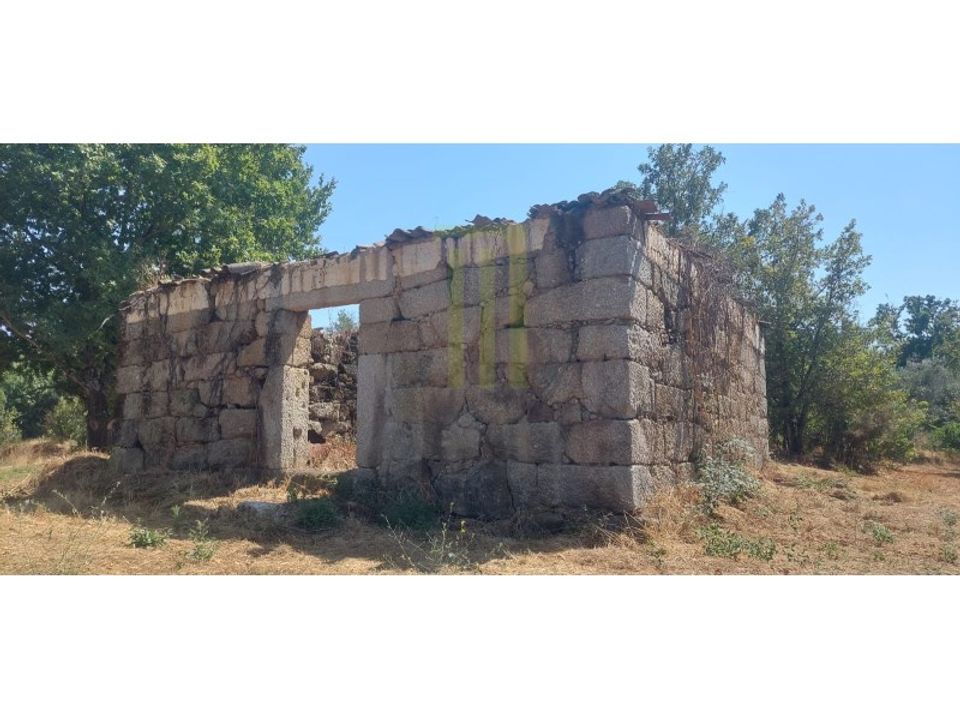 Farm i Lagares da Beira, Coimbra - foto 1