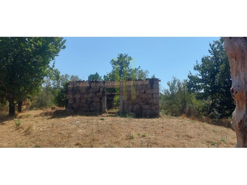 Farm i Lagares da Beira, Coimbra - foto 2