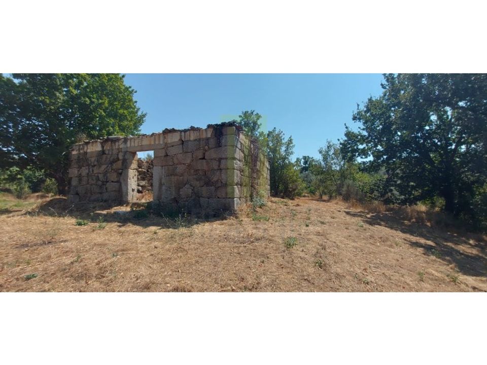 Farm i Lagares da Beira, Coimbra - foto 3