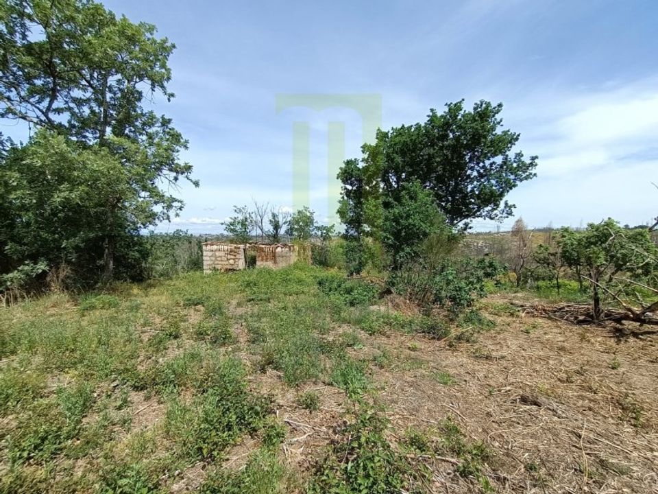 Farm i Lagares da Beira, Coimbra - foto 4
