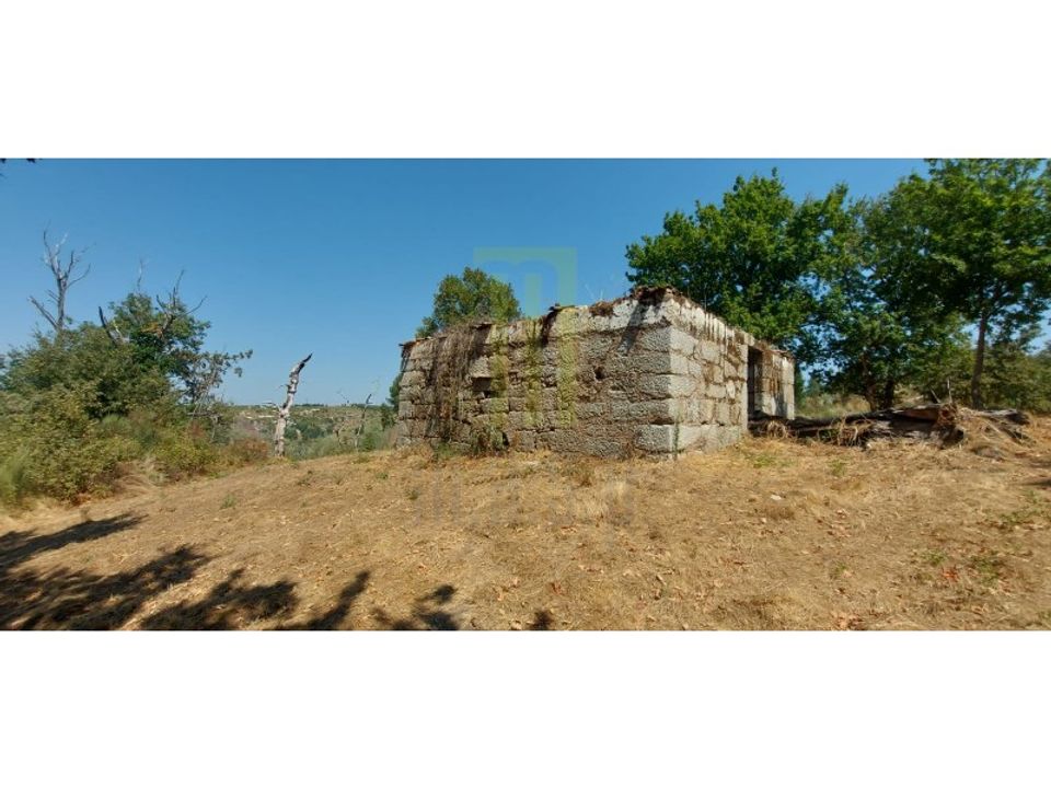Farm i Lagares da Beira, Coimbra - foto 5