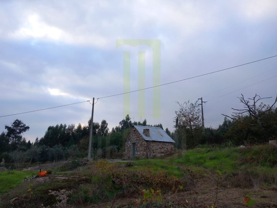 Erhvervsejendom i Lagares da Beira, Coimbra - foto 1