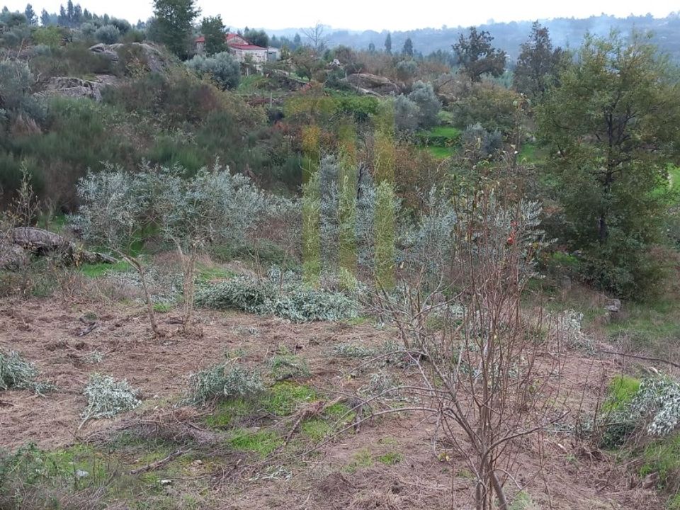 Erhvervsejendom i Lagares da Beira, Coimbra - foto 5