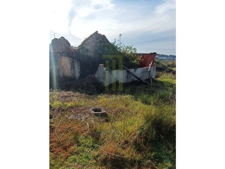 Farm i Oliveira do Hospital, Coimbra - foto 2