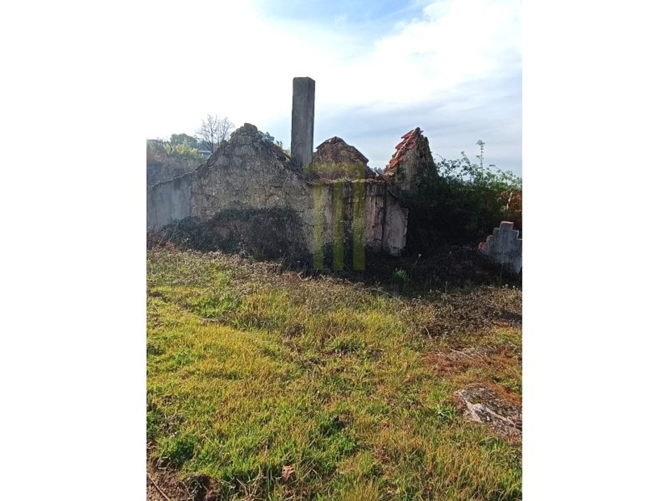 Farm i Oliveira do Hospital, Coimbra - foto 3