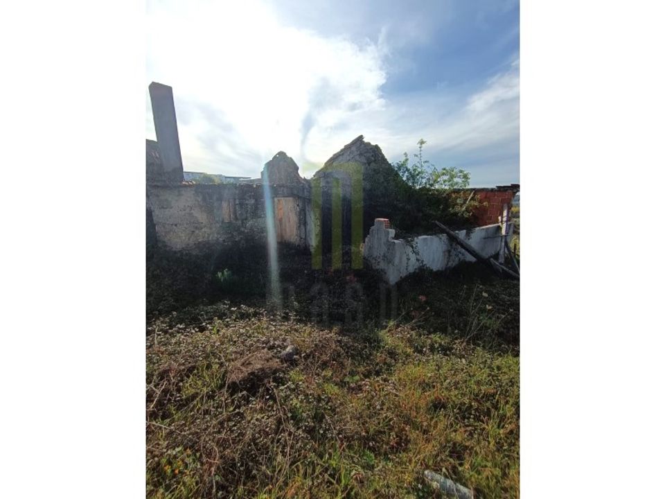 Farm i Oliveira do Hospital, Coimbra - foto 4