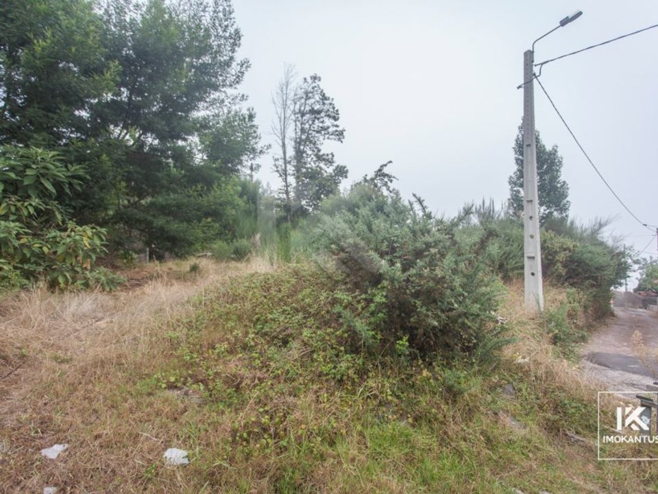 Helårsgrund i Camacha, Madeira - foto 2
