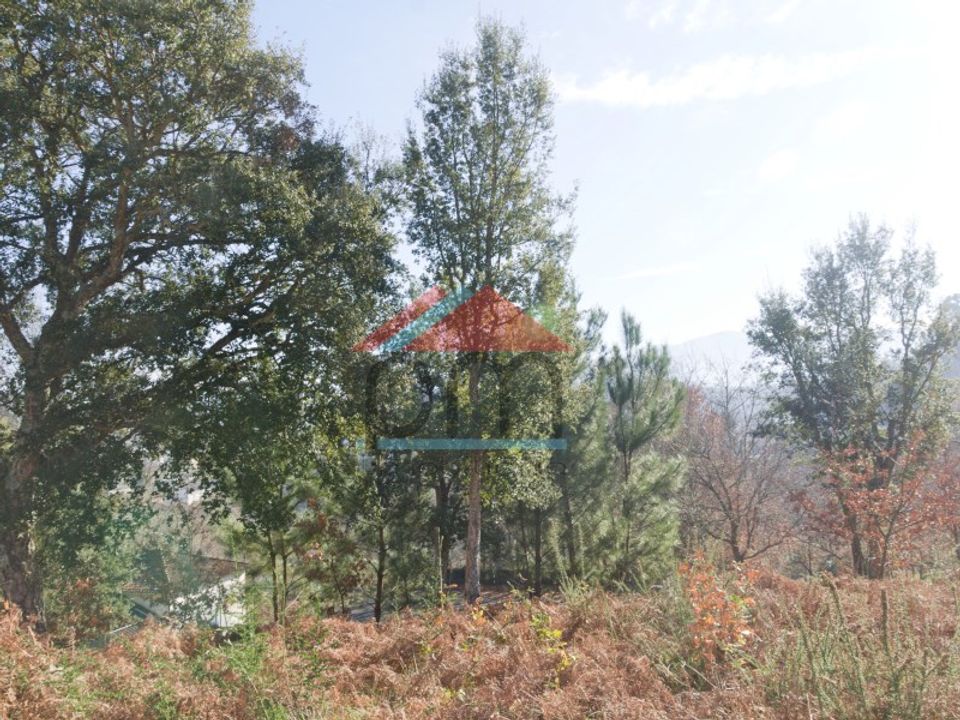 Terra em Troporiz e Lapela, Viana do Castelo - foto 1