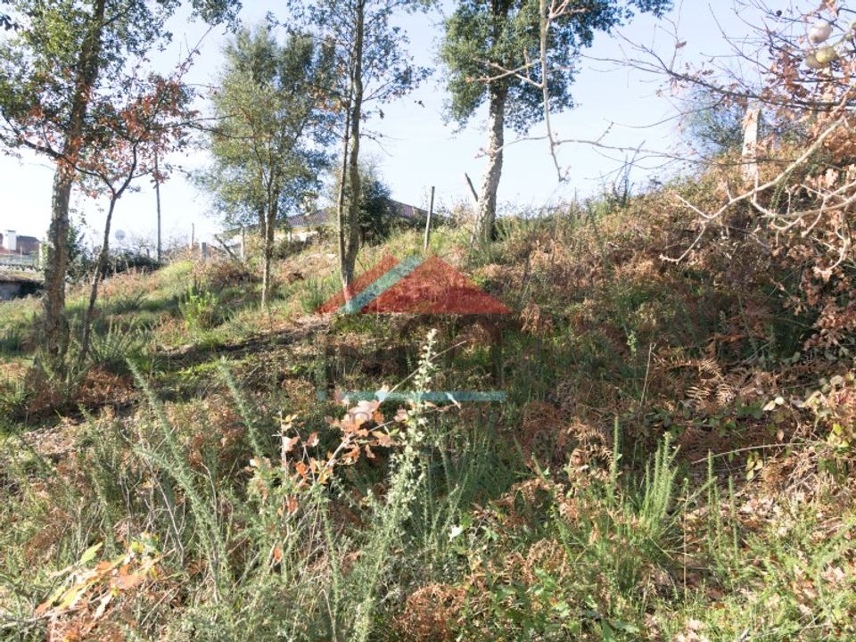 Terra em Troporiz e Lapela, Viana do Castelo - foto 5