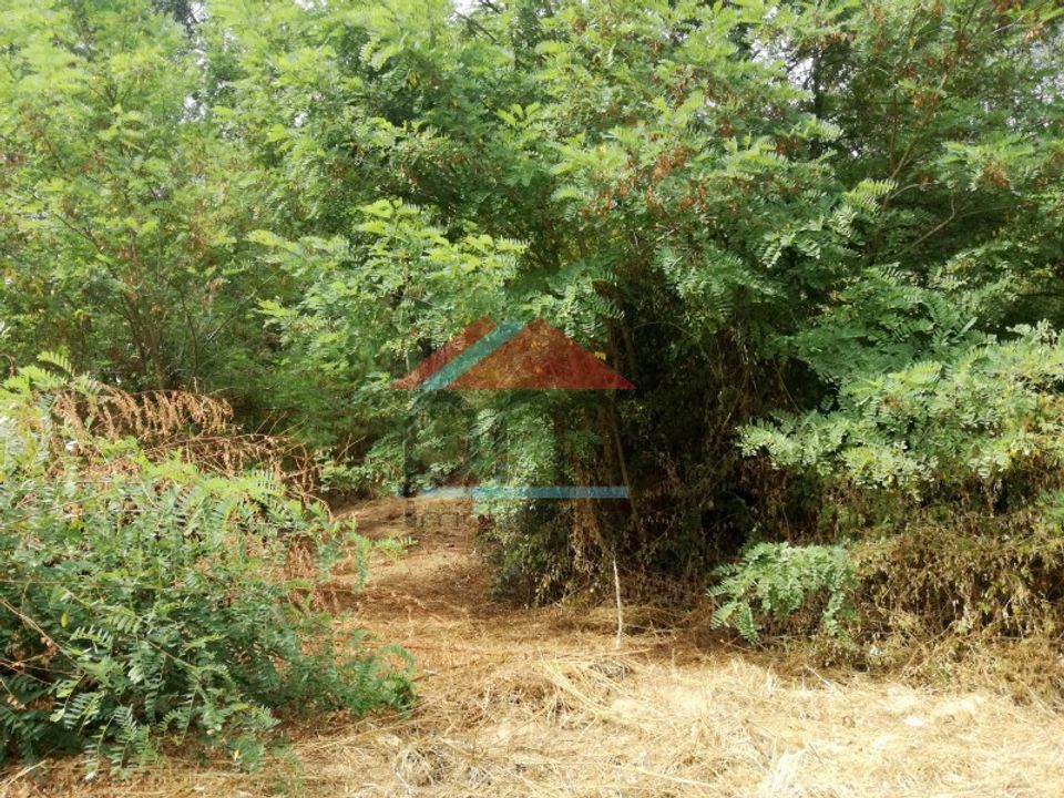 Terra em Troporiz e Lapela, Viana do Castelo - foto 1