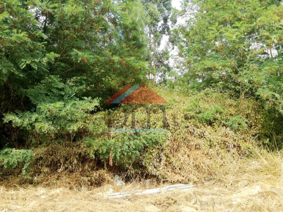 Terra em Troporiz e Lapela, Viana do Castelo - foto 2