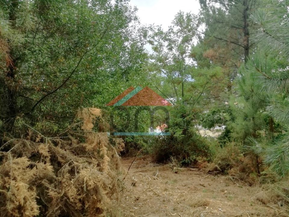 Terra em Troporiz e Lapela, Viana do Castelo - foto 4