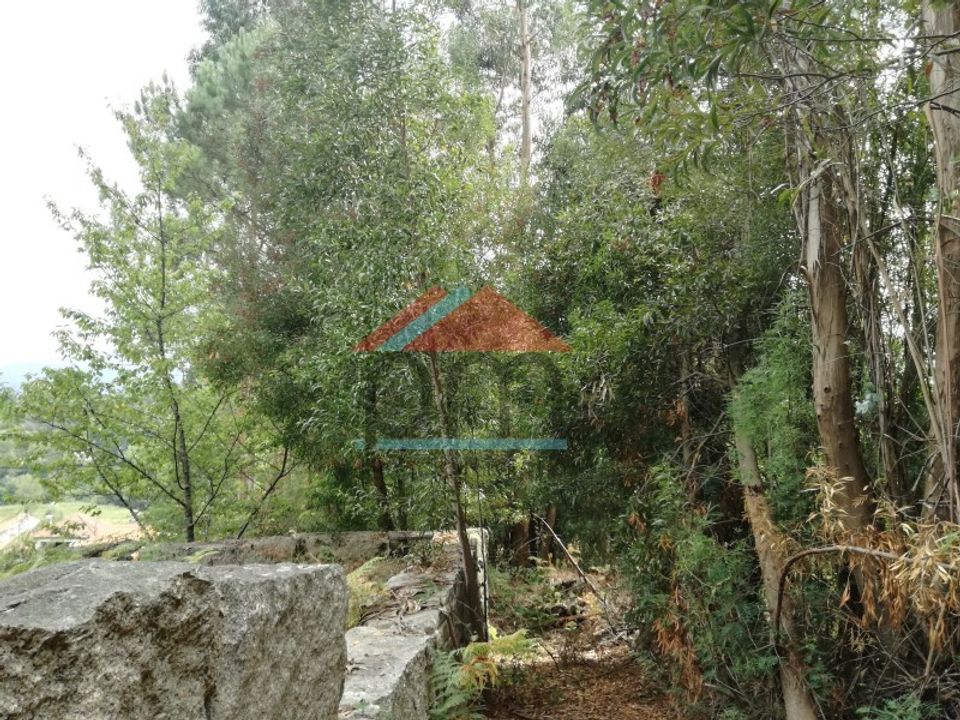 Terra em Troporiz e Lapela, Viana do Castelo - foto 5