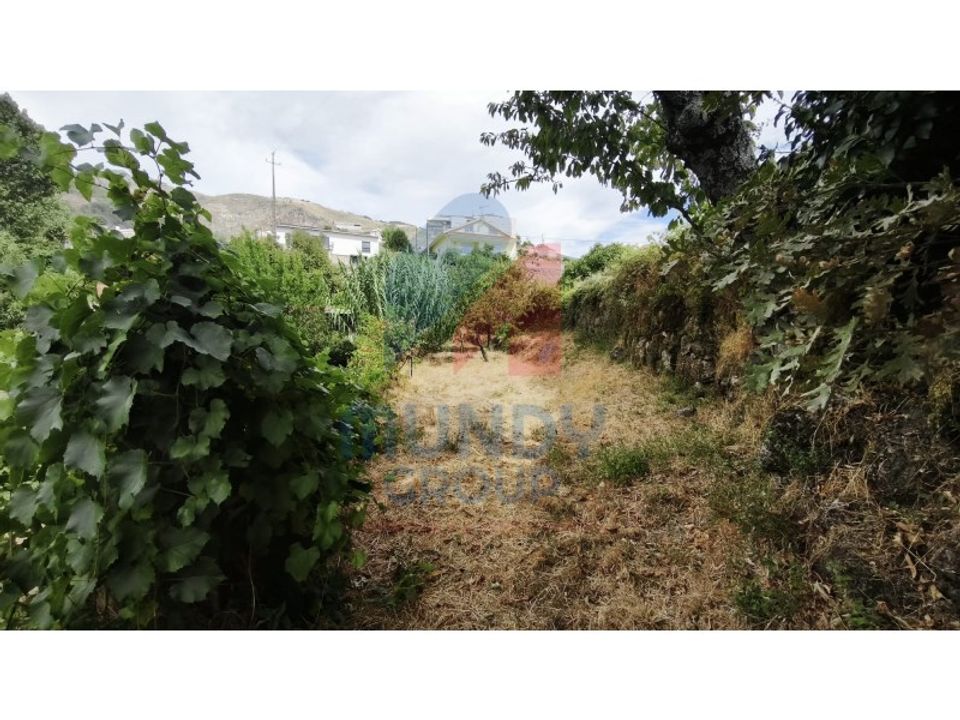 Farm i Vila Carvalho, Castelo Branco - foto 2