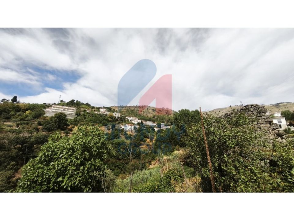 Farm i Vila Carvalho, Castelo Branco - foto 3